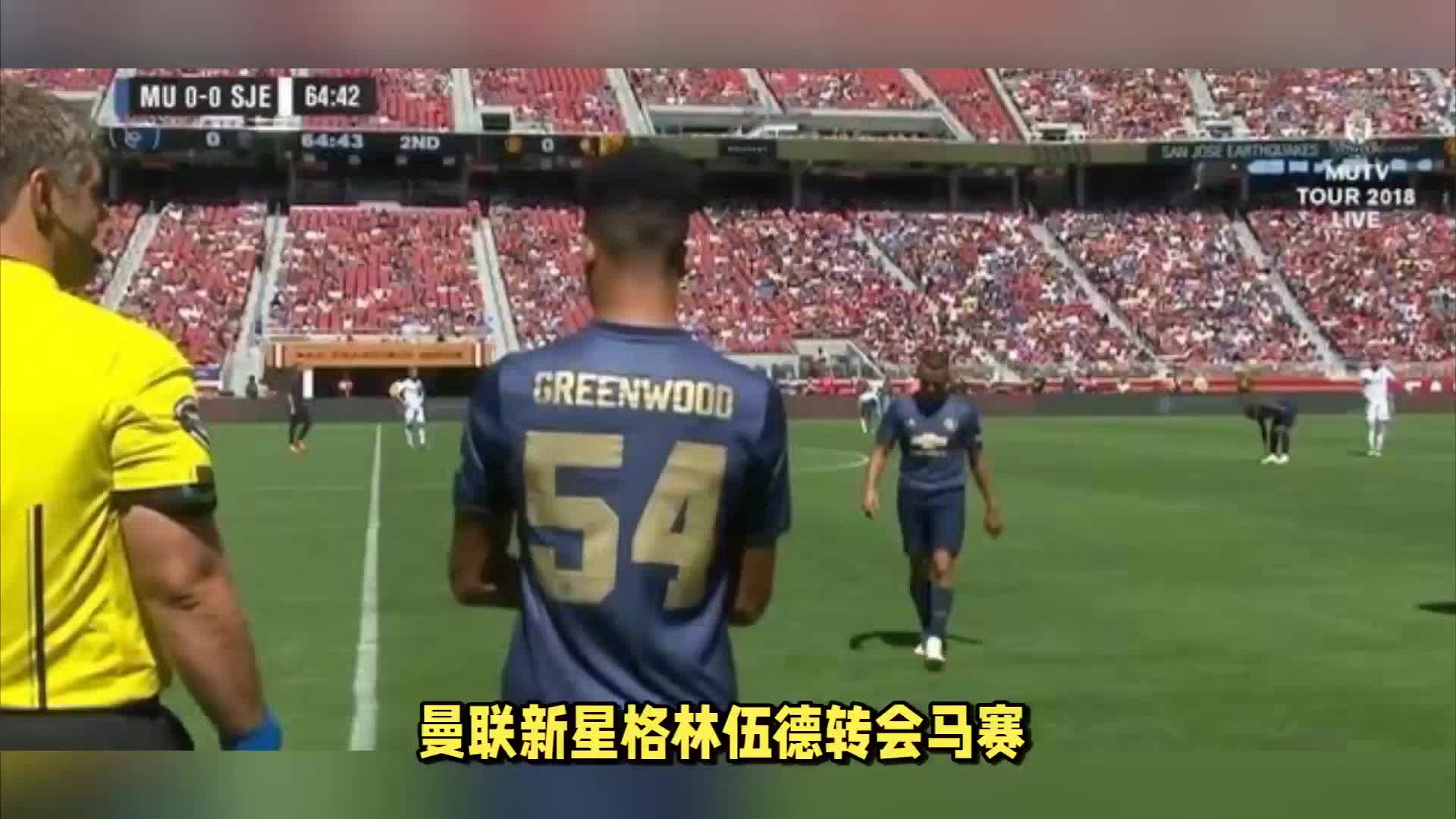 不可替代的
